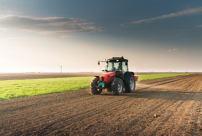 field
